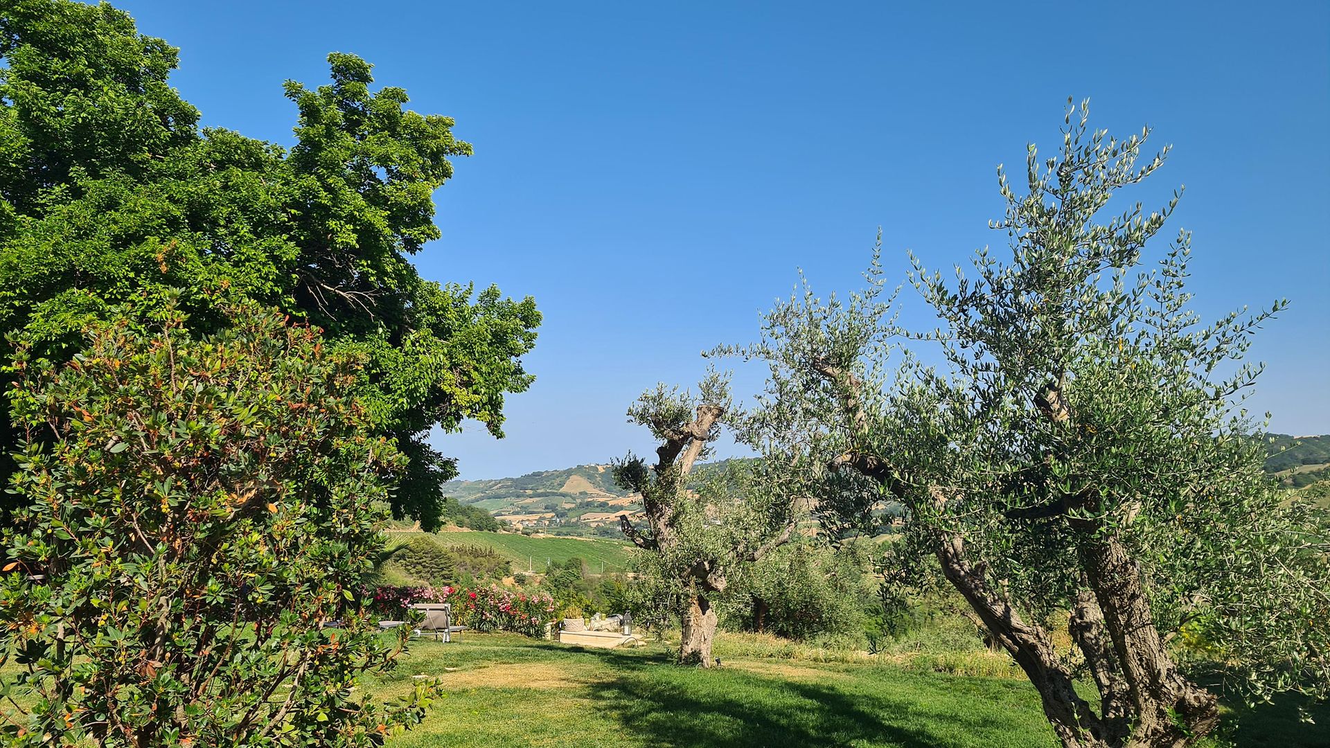 Seminarzentrum_Bonpago_Garten