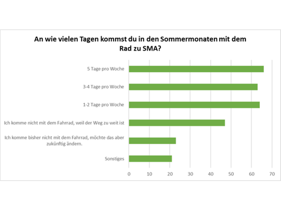 Umfrage_Bild