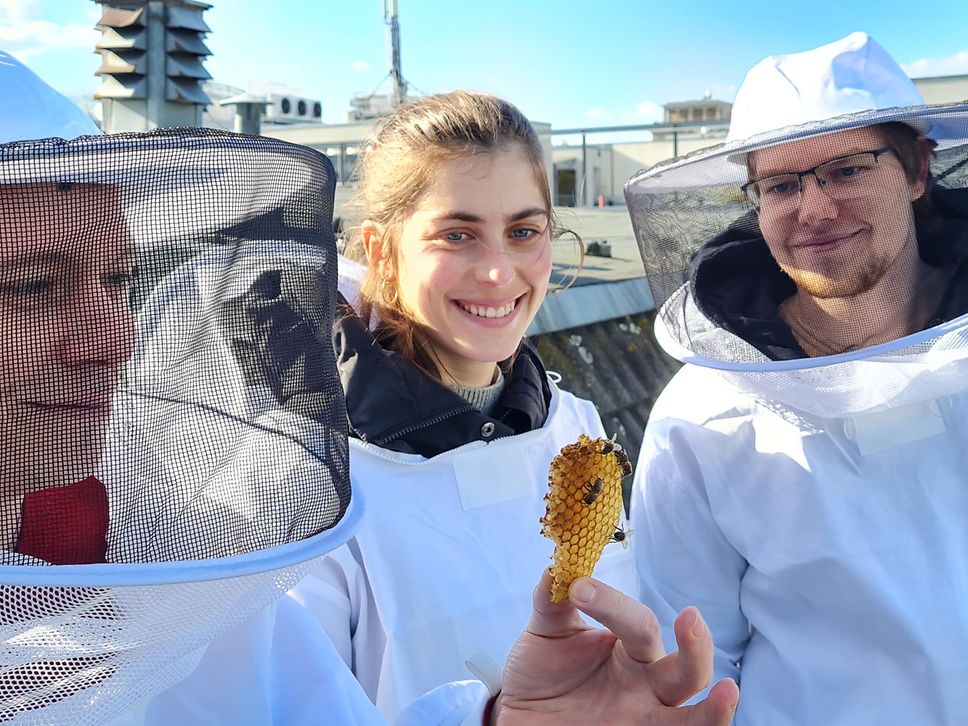 Bienenprojekt