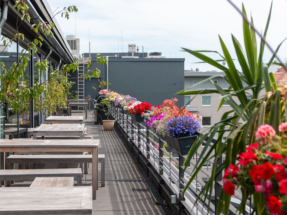 Dachterrasse
